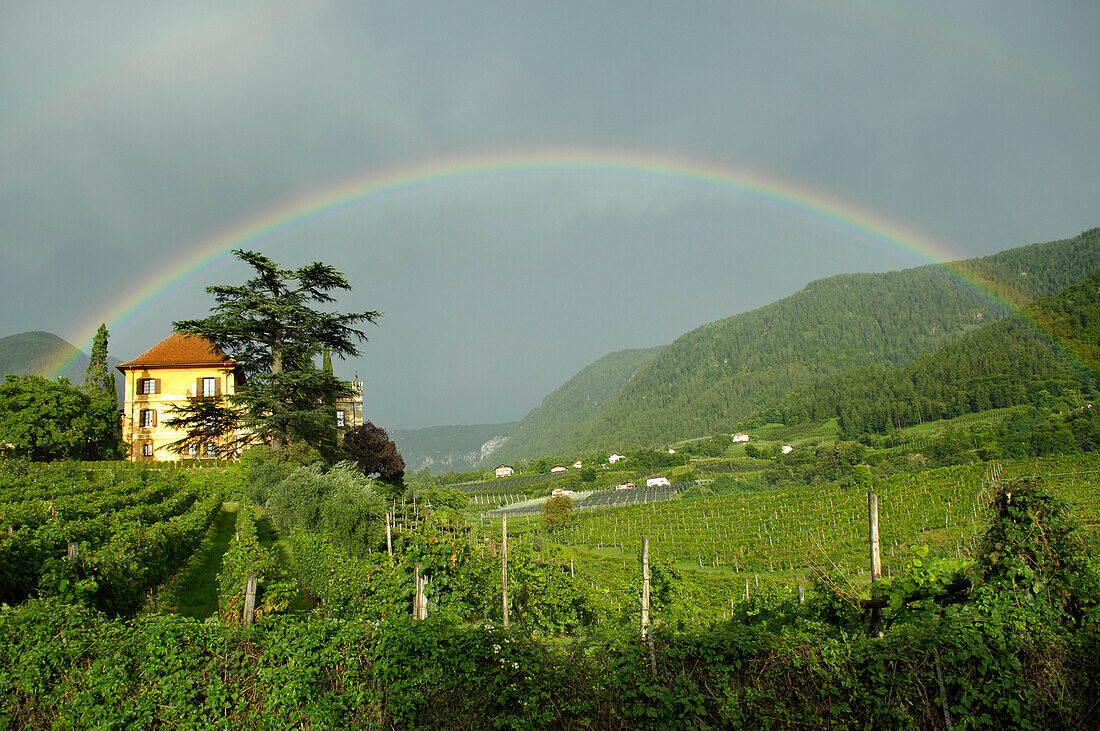 Regenbogen über Schloss Rametz, Weinbaugebiet, Merano, Vinschgau, Südtirol, Trentino-Alto Adige, Italien