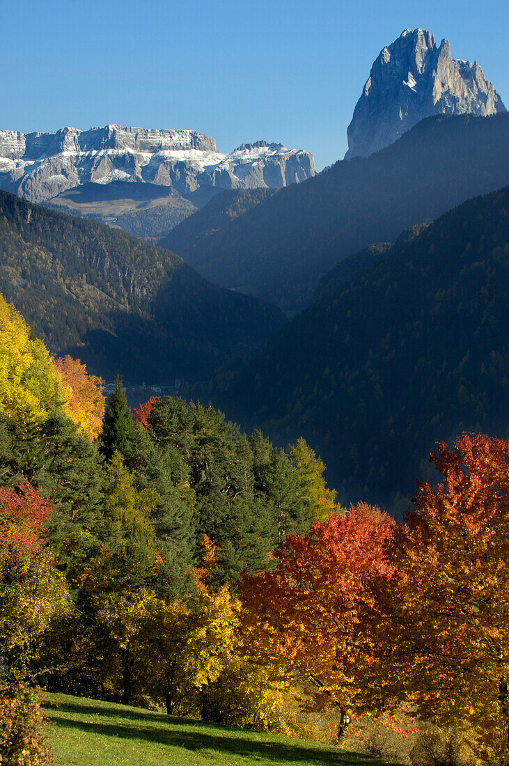 Autumn in the mountains, Lajen, Sellastock massif, Dolomites, South Tyrol, Trentino-Alto Adige, Italy