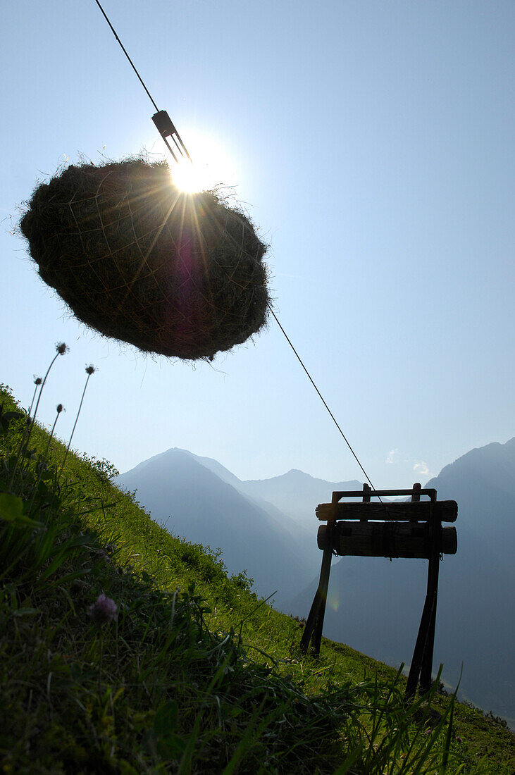 Hay pack in the back light, hay transport, South Tyrol, Trentino-Alto Adige, Italy