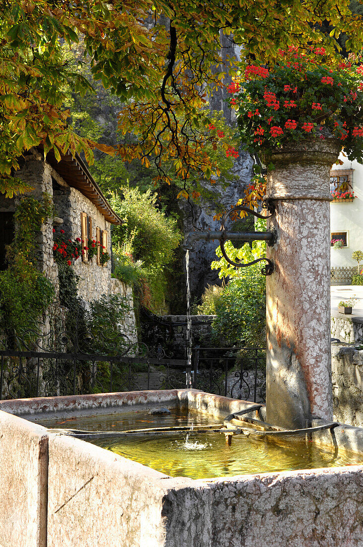 Dorfbrunnen im Dorfzentrum, Bassa Atesina, Margreid an der Weinstraße, Südtirol, Trentino-Alto Adige, Italien