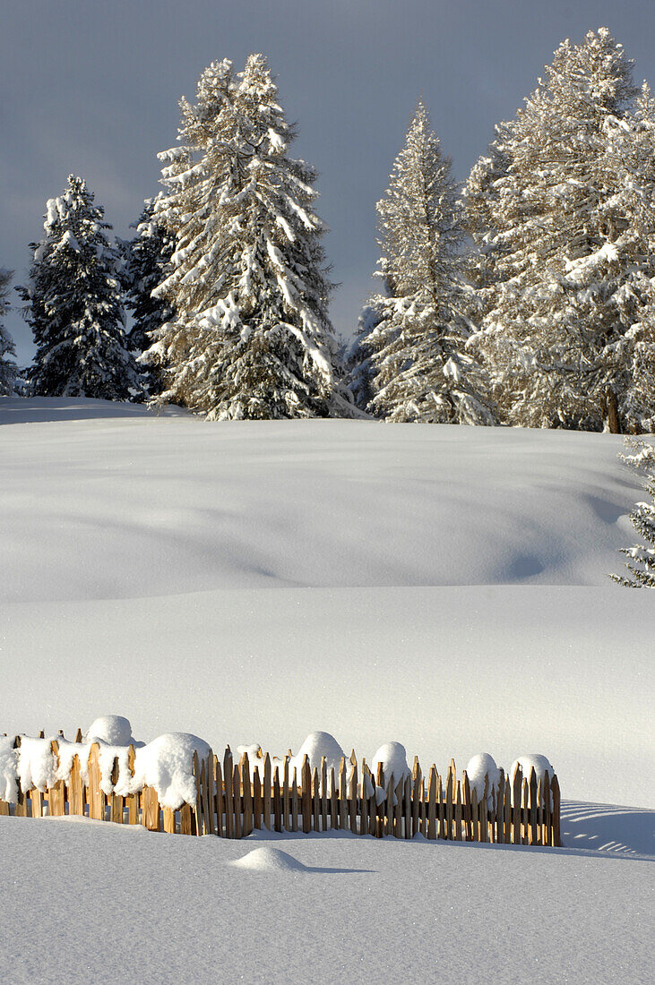 Gartenzaun mit Schneebedeckt, Winterlandschaft, Seiser Alm, Dolomiten, Südtirol, Trentino-Alto Adige, Italien
