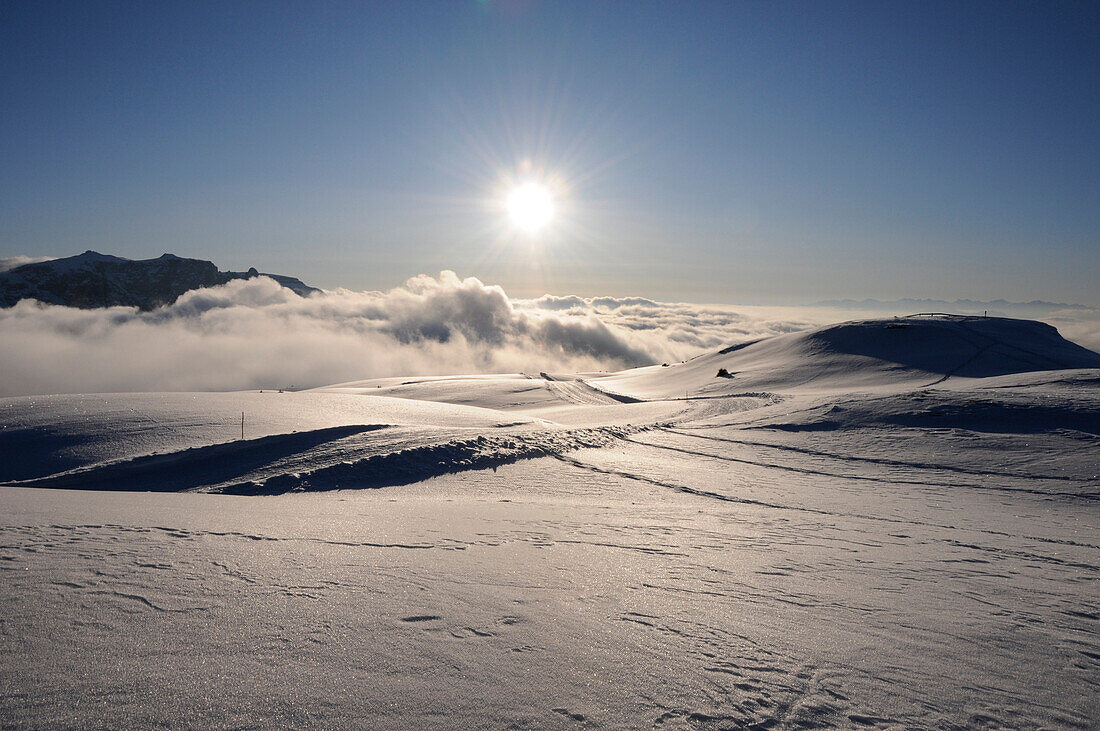 Winter landscape at sunset, Alpe di Siusi, Puflatsch, Alto Adige, South Tyrol, Italy, Europe