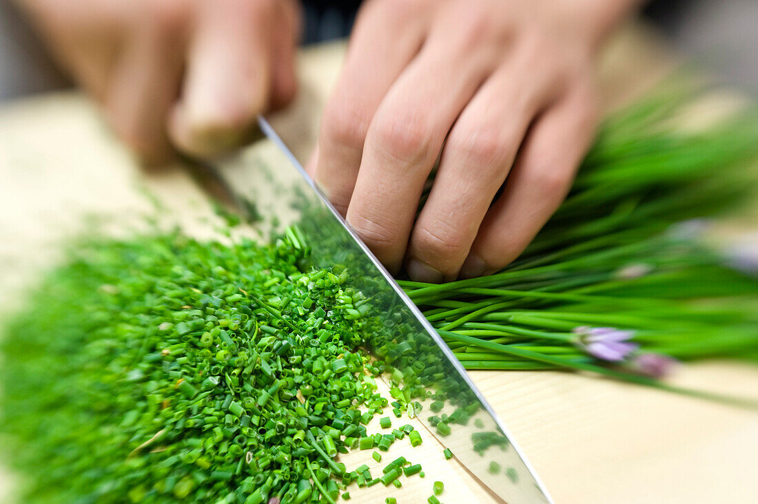 A person cutting chives, Alto Adige, South Tyrol, Italy, Europe