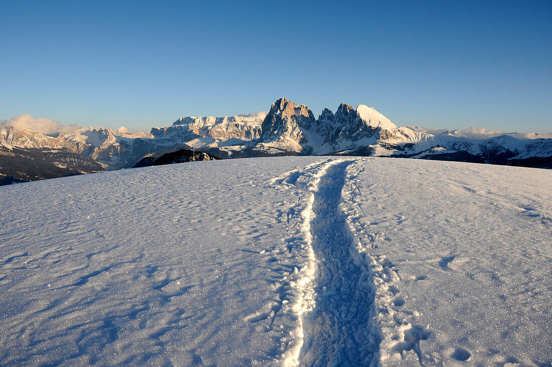 Spuren in verschneiter Berglandschaft in der Abendsonne, Seiseralm, Langkofel, Alto Adige, Südtirol, Italien, Europa