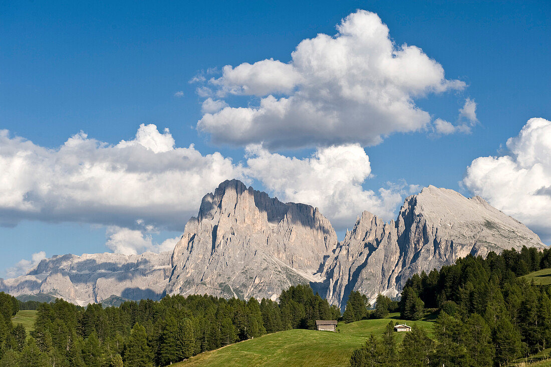 Alpine meadow and mountains under white clouds, Alpe di Siusi, Dolomites, Alto Adige, South Tyrol, Italy, Europe