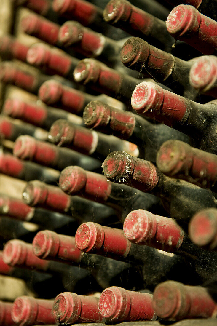Dusty wine bottles at winery St. Pauls, Eppan an der Weinstrasse, Alto Adige, South Tyrol, Italy, Europe