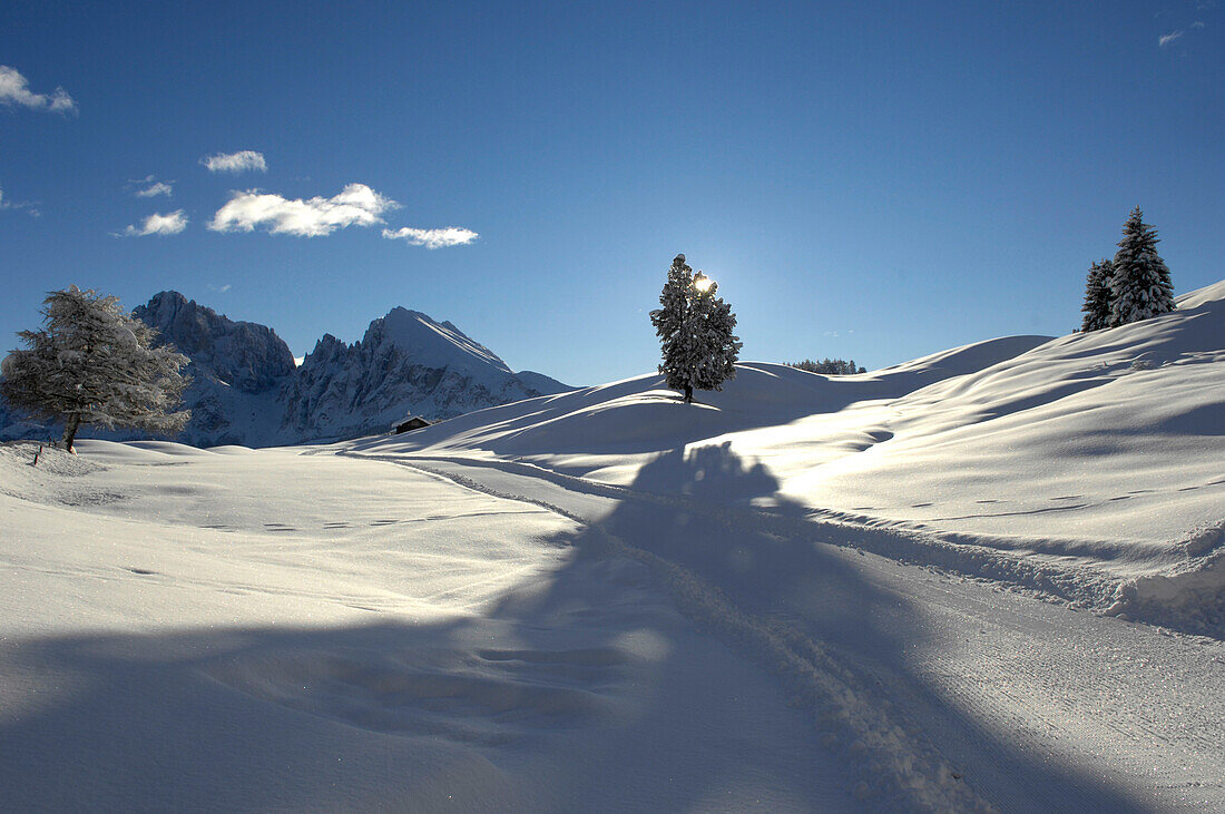Winterlandschaft mit Loipe im Sonnenlicht am Morgen, Dolomiten, Alto Adige, Südtirol, Italien, Europa