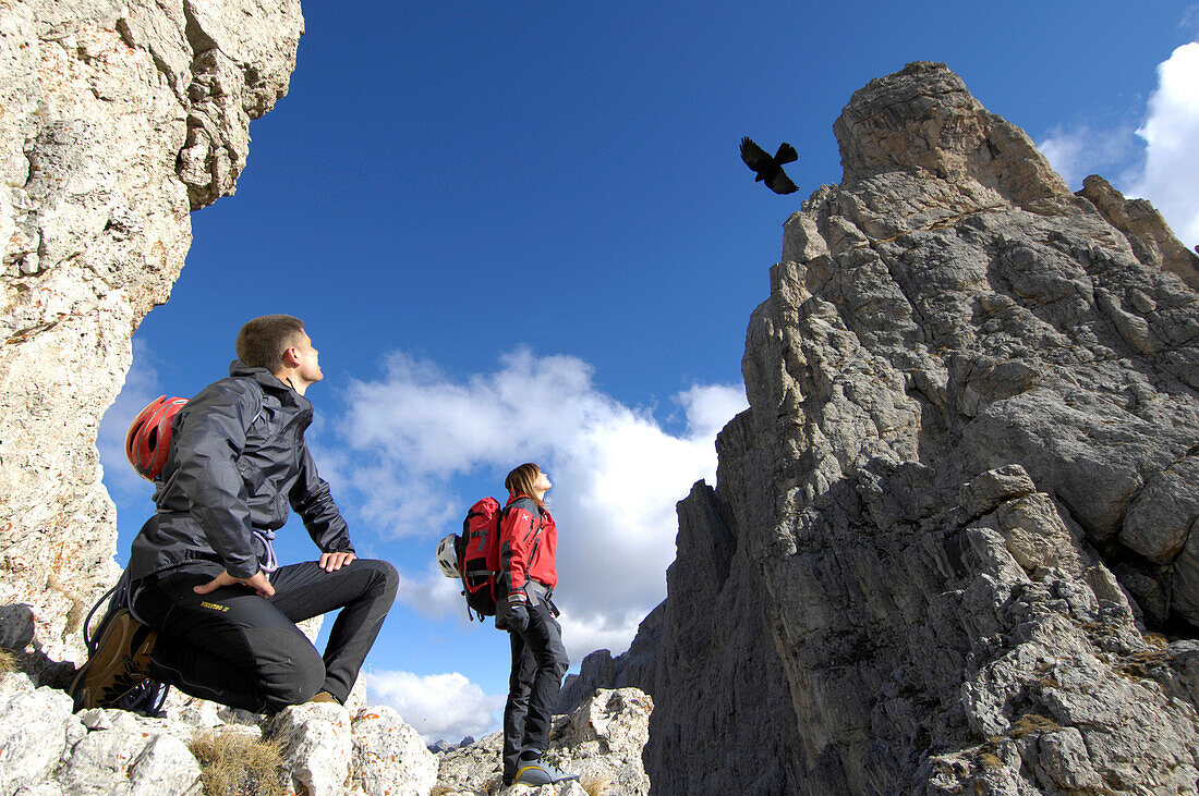 Bergsteiger beobachten einen Raubvogel, Alto Adige, Südtirol, Italien, Europa