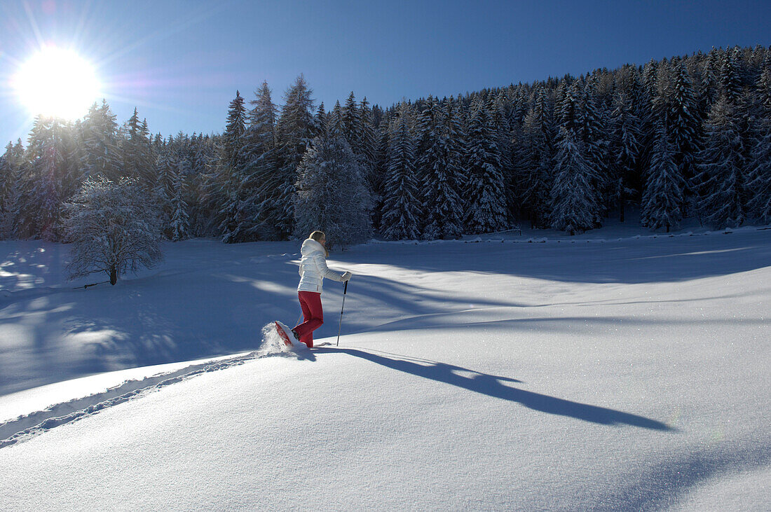 Eine Person auf Schneeschuhen in verschneiter Landschaft, Alto Adige, Südtirol, Italien, Europa