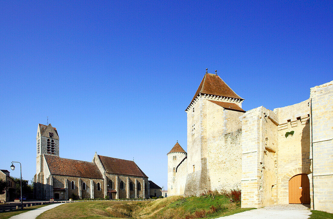 France, Paris region, Seine et Marne, Blandy les Tours castle