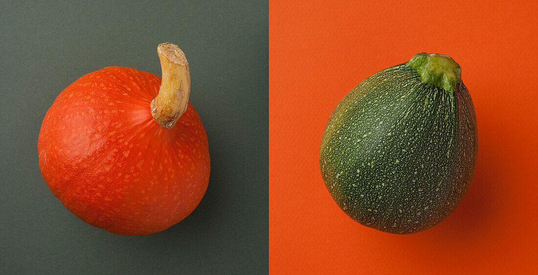 Close-up of chestnut pumpkin and zucchini