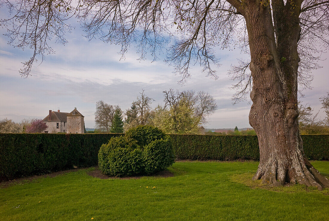 France, Centre, Eure et Loir, Le Mesnil-Simon, garden