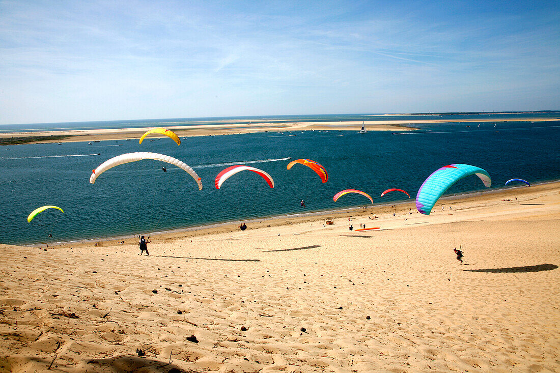France, Aquitaine, Gironde (33) - Le Pyla sur Mer, Dune du Pilat and Bassin d'Arcachon, paragliding