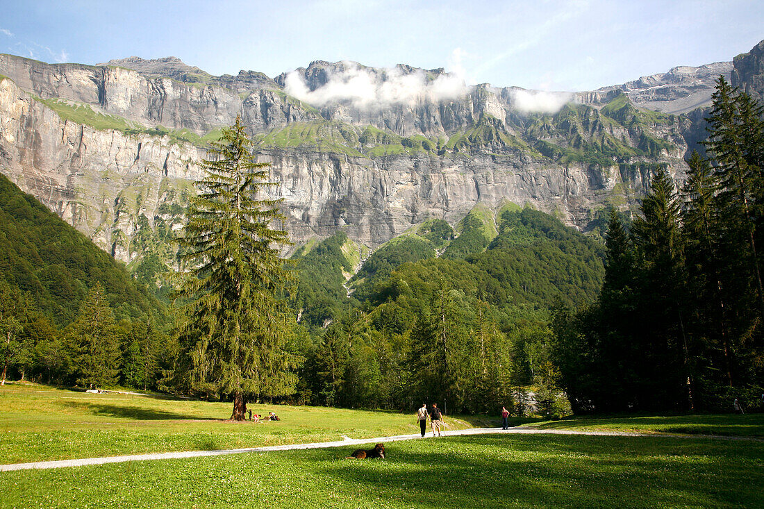 France, Rhone-Alpes, Haute Savoie (74), Sixt-fer-a-Cheval, Fer-a-Cheval amphitheater