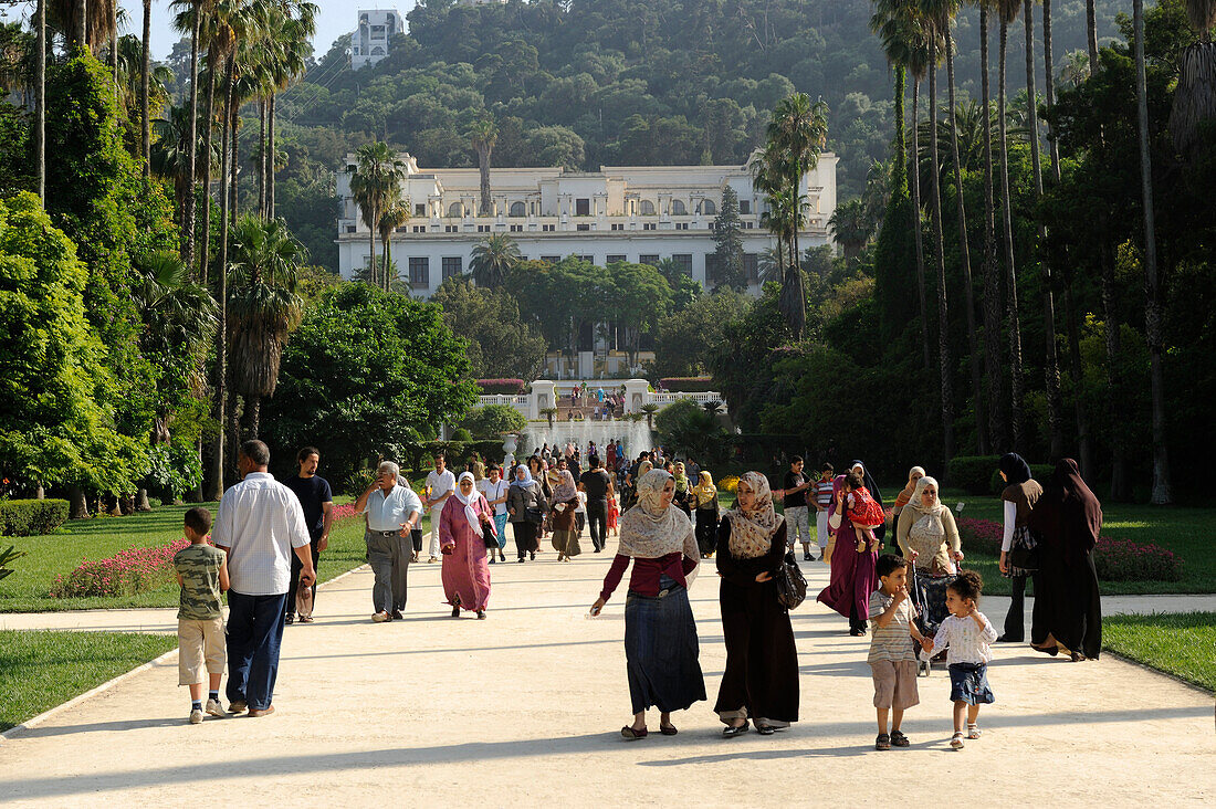 Algeria, Algiers, Hamma district, botanical garden, Fine Arts museum in background