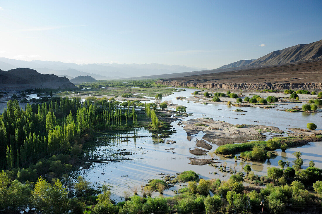Schwemmland im Industal nahe Leh, Leh, Industal, Ladakh, Jammu und Kashmir, Indien