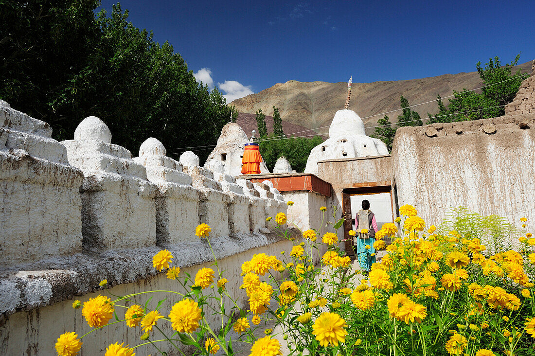 Stupas, Chorten, monastery of Alchi, Alchi, valley of Indus, Ladakh, Jammu and Kashmir, India