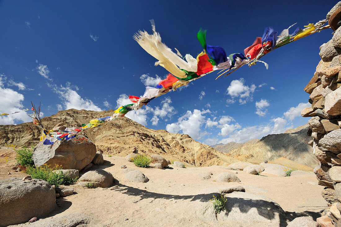 Prayer flags at pass, trekking from monastery of Likir to Yangtang, Ladakh, Jammu and Kashmir, India