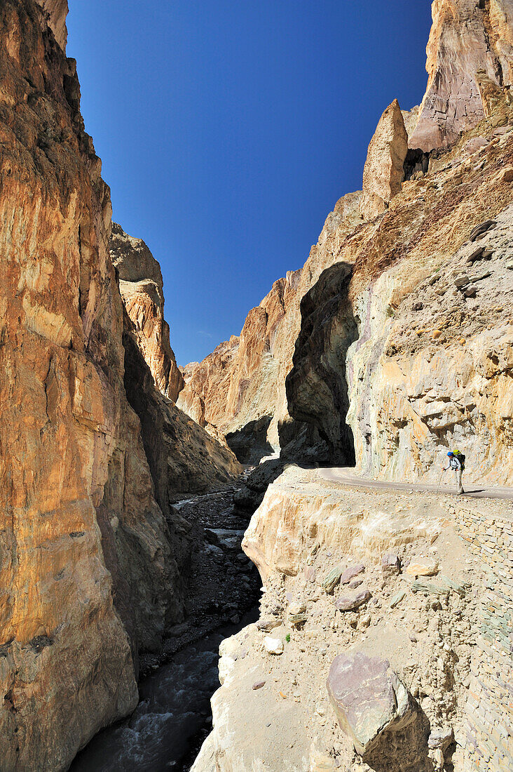 Wanderin blickt in eine Schlucht, zwischen Wanla und Honupatta, Großer Zanskar Trek, Zanskargebirge, Zanskar, Ladakh, Jammu und Kashmir, Indien