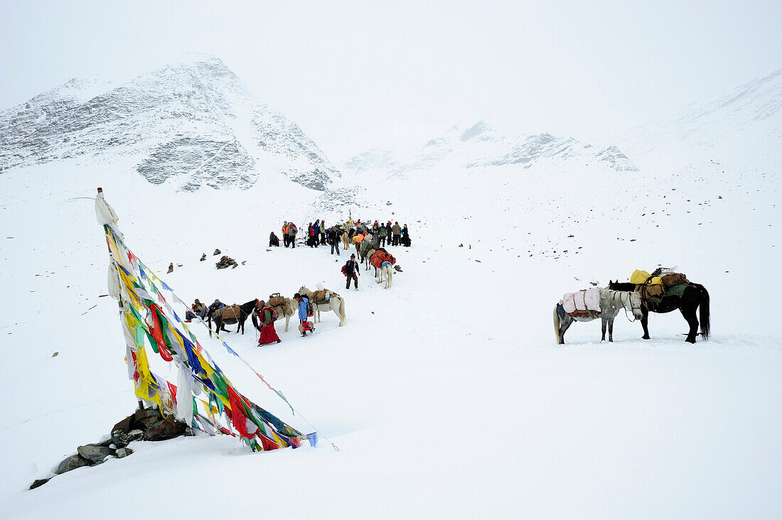 Tragtiere, Mönche und einheimische Bauern mit Touristengruppen am tief verschneiten Pass mit Gebetsfahnen, Shingo La, Großer Zanskar Trek, Zanskargebirge, Zanskar, Ladakh, Indien