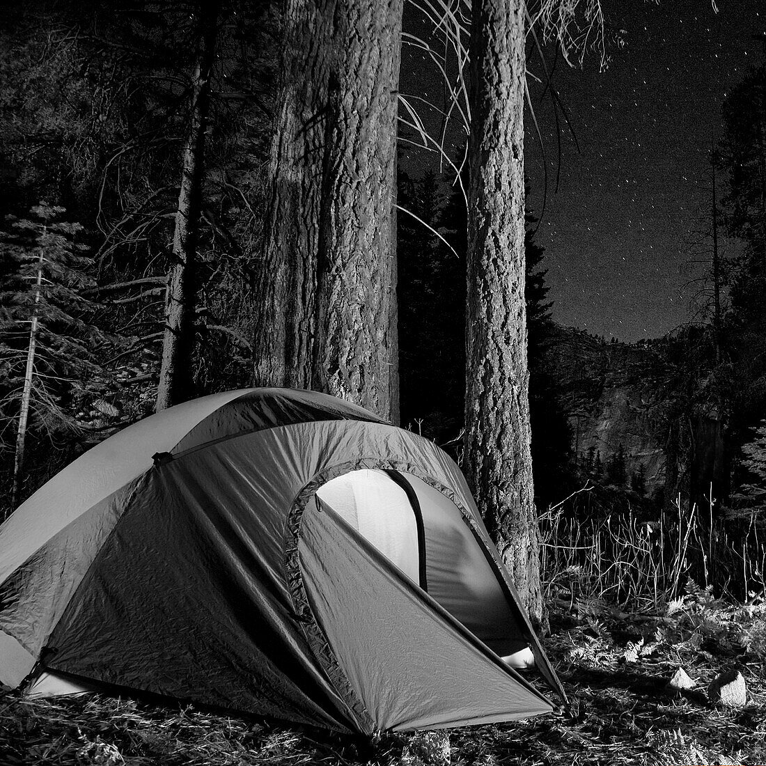 Tent in Forest at Night, Yosemite National Park, California, USA