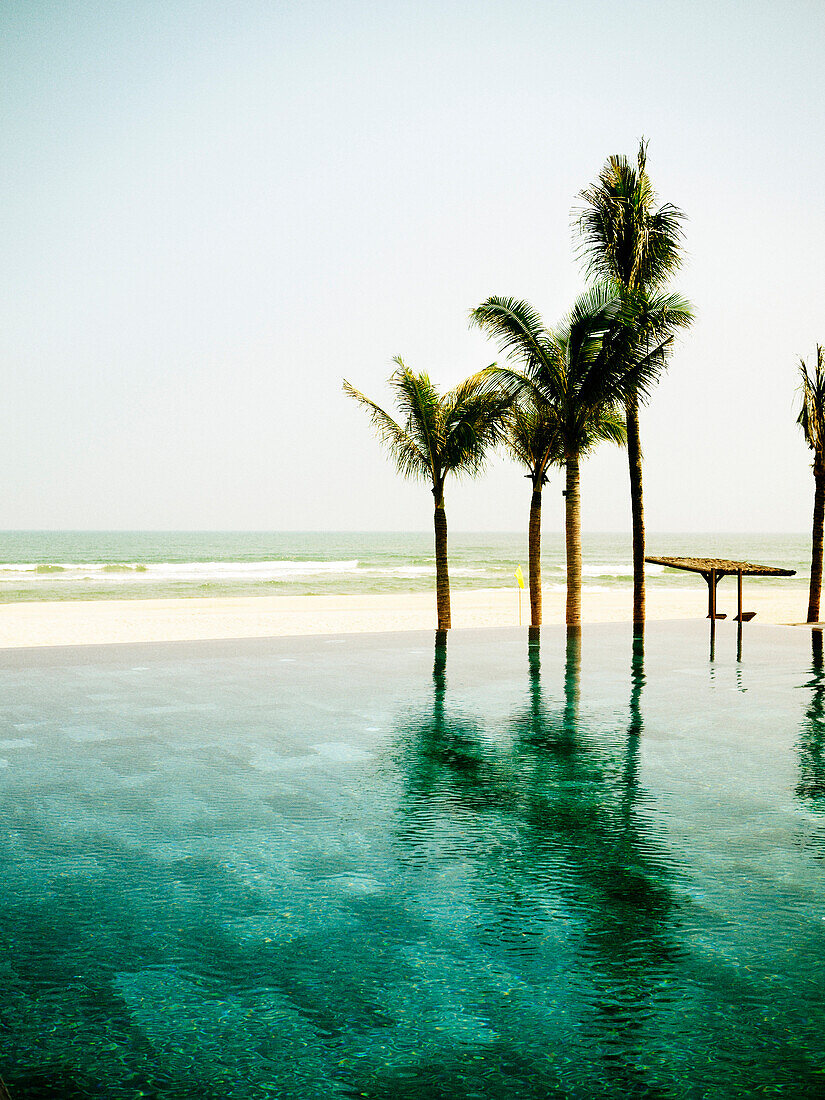 Infinity Pool and Palm Trees on Beach