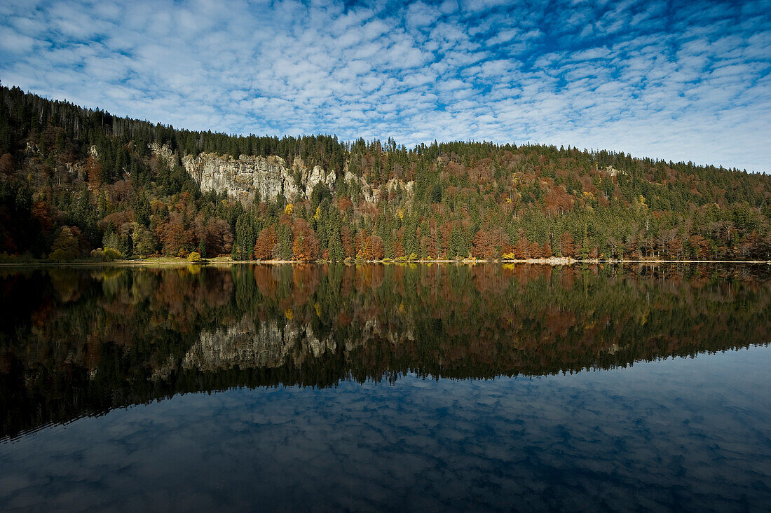 Reflection of trees in a lake, Feldsee, Feldberg, Black Forest, Baden-Wurttemberg, Germany
