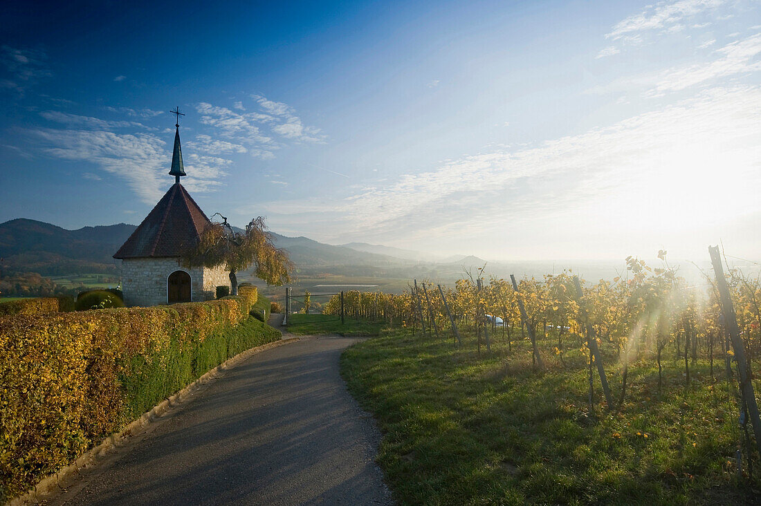 Ehrentrudiskapelle, Markgräflerland, nahe Freiburg im Breisgau, Schwarzwald, Baden-Württemberg, Deutschland