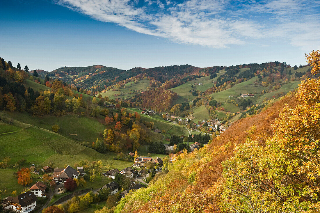 Münstertal im Herbst, nahe Freiburg im Breisgau, Schwarzwald, Baden-Württemberg, Deutschland