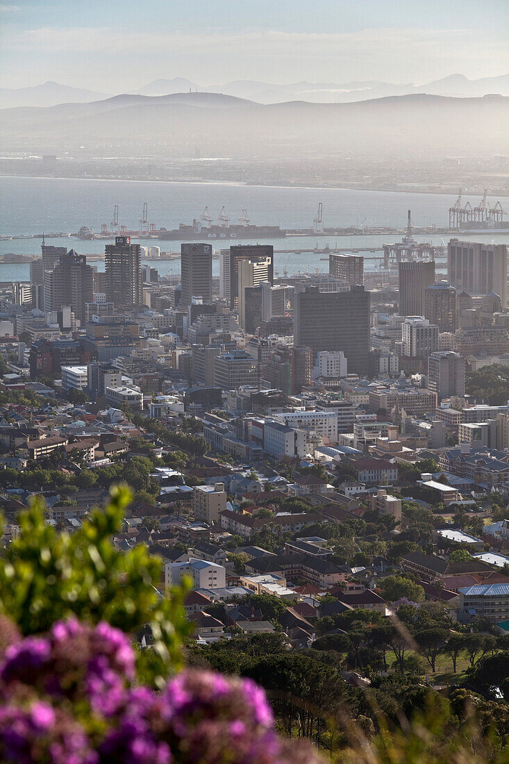 Blick von Signal Hill auf Kapstadt, Kapstadt, Westkap, Südafrika