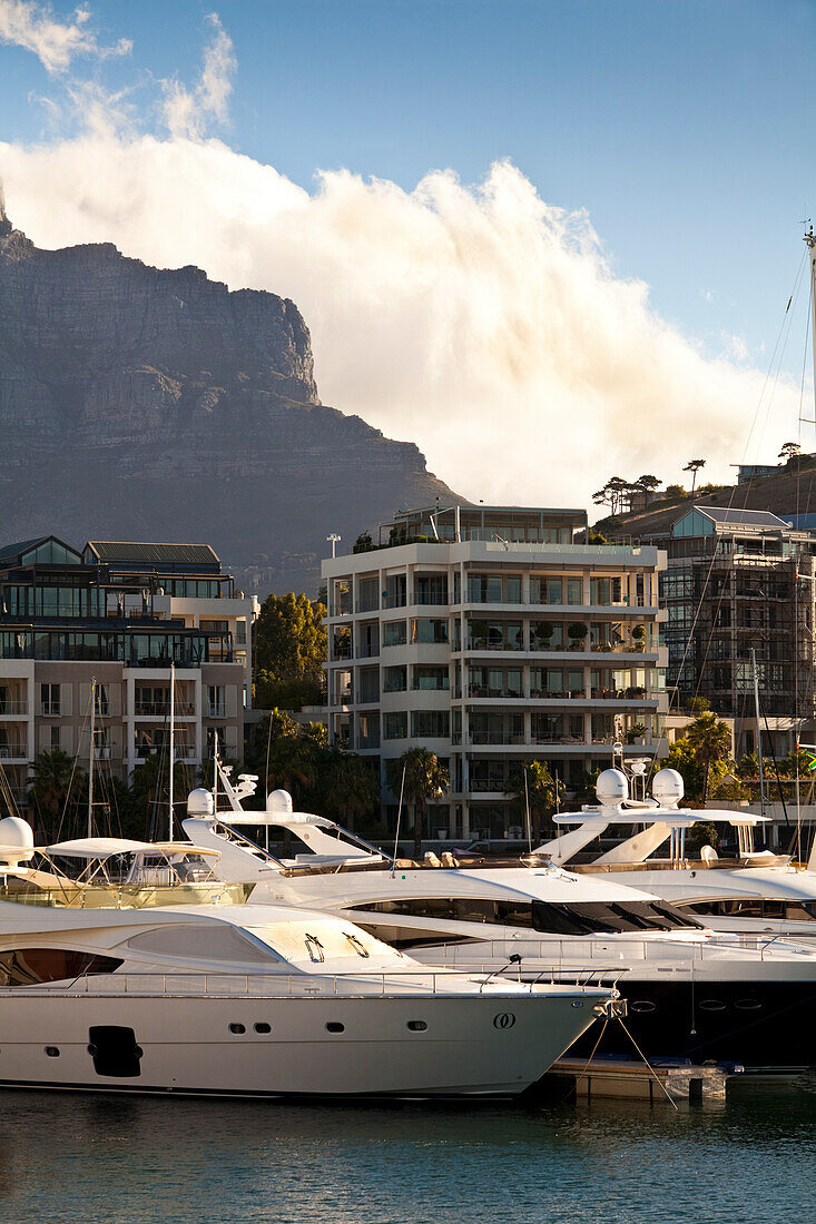 Blick über und Yachthafen und Luxuswohnhäuser an der V und A Waterfront auf den Tafelberg, Kapstadt, Westkap, Südafrika, RSA, Afrika