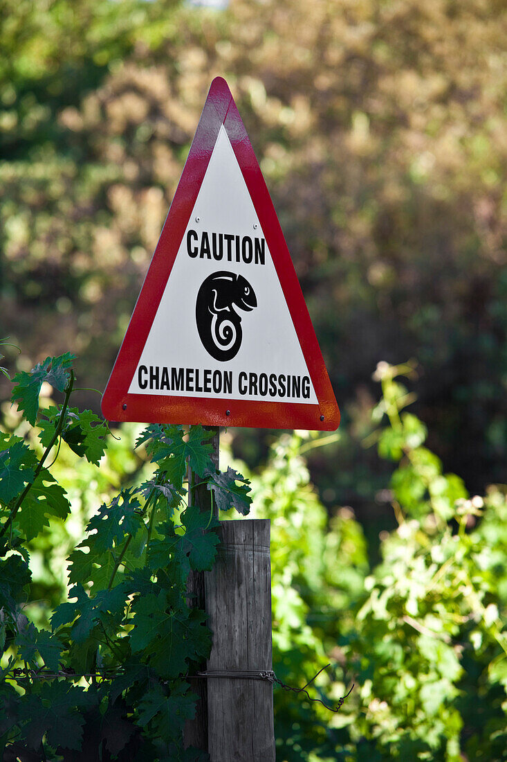 Street-sign at Jordan Winery, Stellenbosch, Western Cape, South Africa