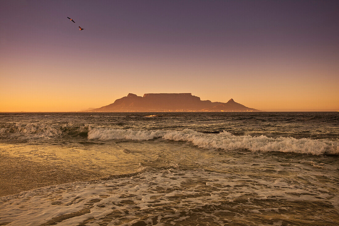 Morgenstimmung am Bloubergstrand mit Tafelberg im Hintergrund, Westkap, Südafrika, RSA, Afrika