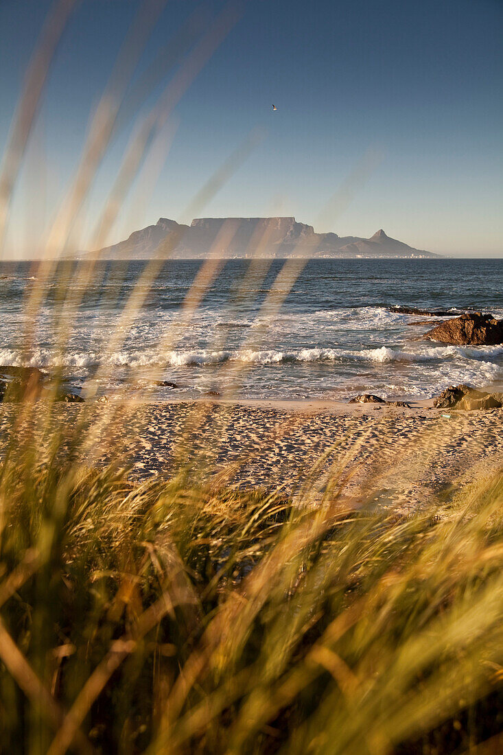 Morning impression at Bloubergstrand with Table Bay, Western Cape, South Africa, RSA, Africa