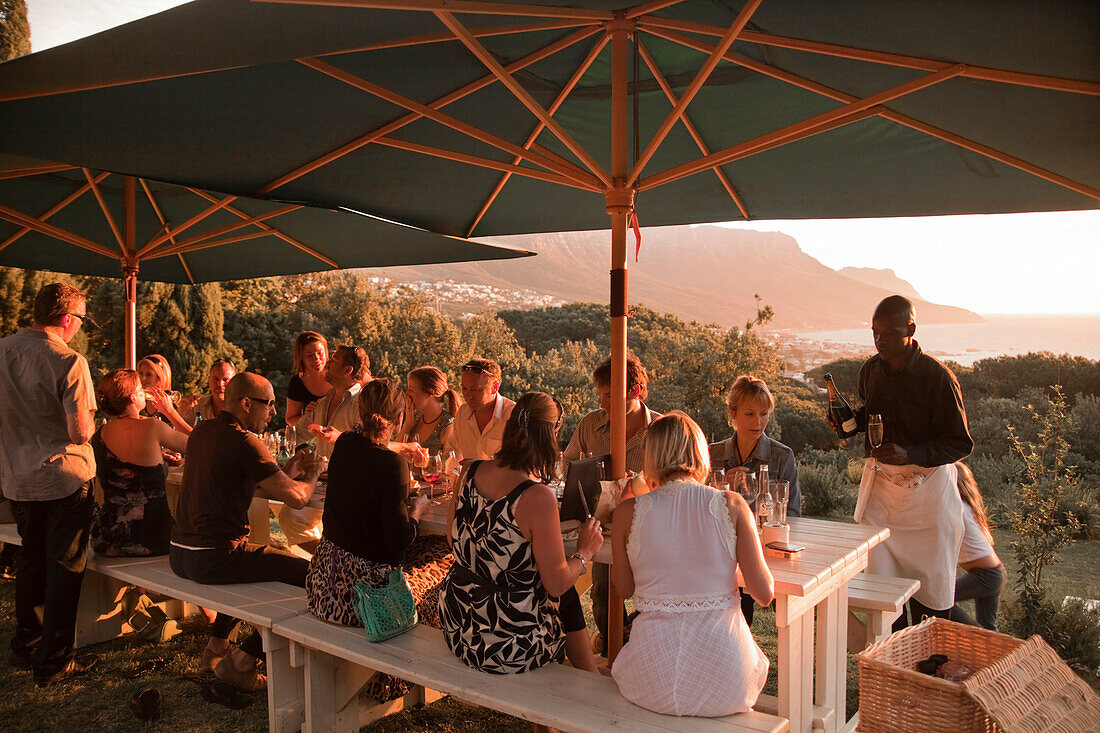 Picknick Garten des Restaurants Roundhouse, Camps Bay, Kapstadt, Westkap, Südafrika, RSA, Afrika