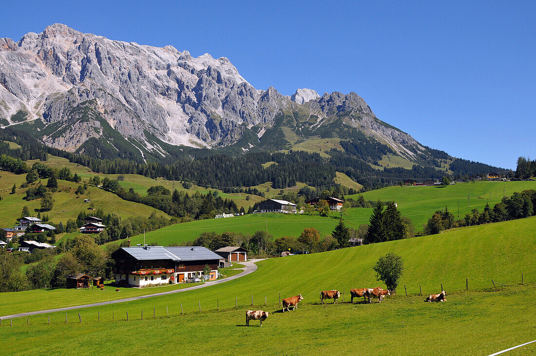 Landscape at Hochkönig near Muehlbach, Pongau, Salzburg-land, Austria