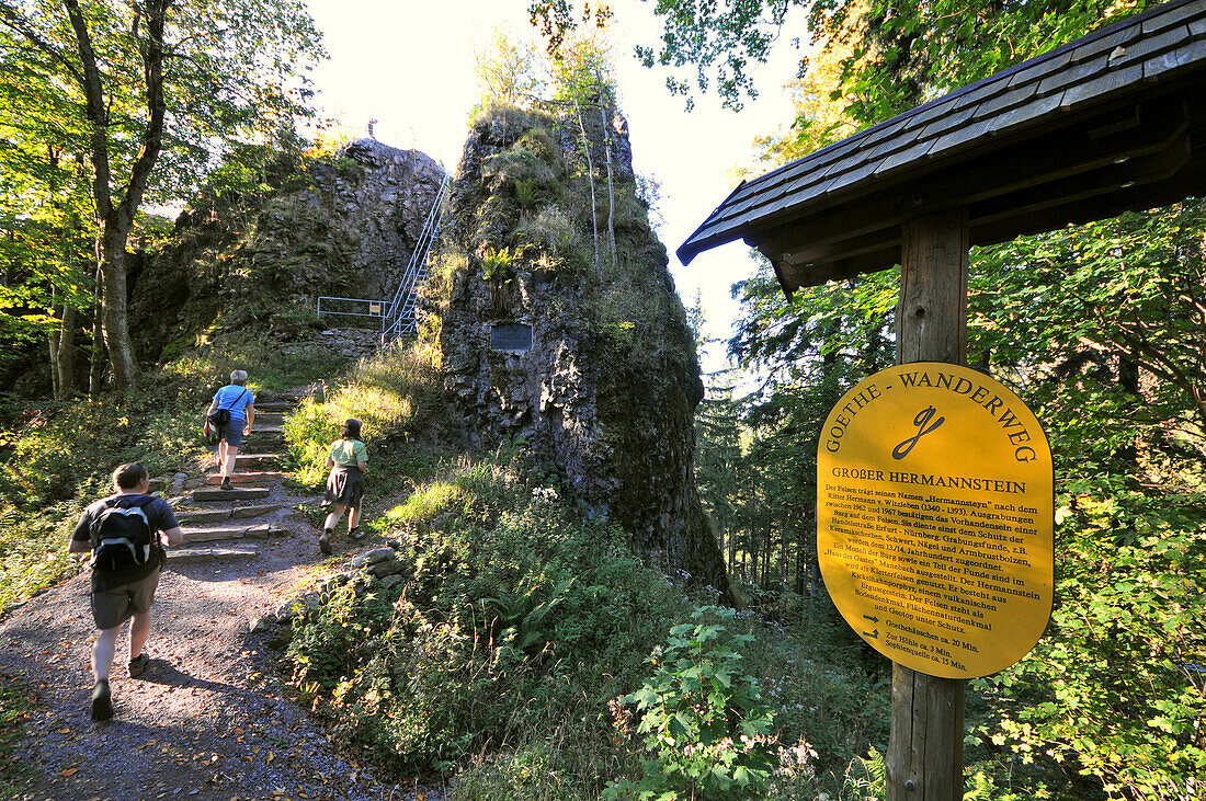 Hikers on the Goethe trail, Herrmannstone near Kickelhahn, near Ilmenau, Thuringian Forest, Thuringia, Germany