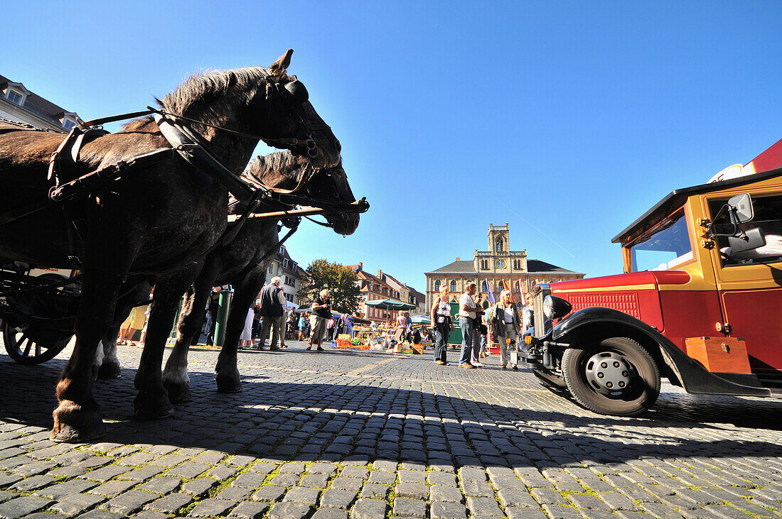 Horse and carriage at Market square, Weimar, Thuringia, Germany