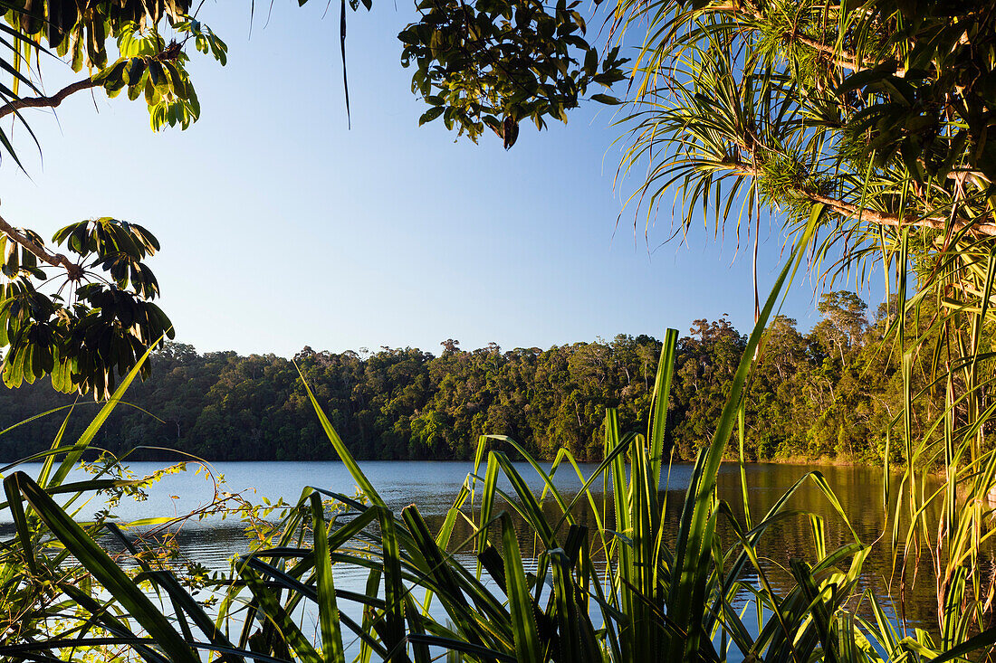 Lake Eacham, Crater Lakes National Park, Atherton Tablelands, Queensland, Australia