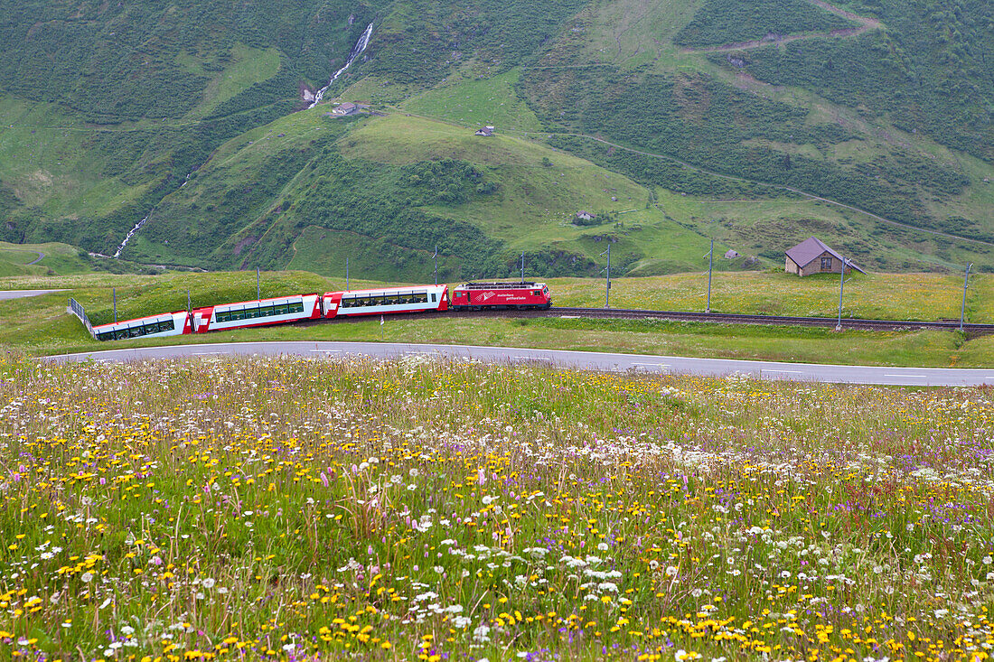 Glacier Express zwischen Andermatt und der Station Nätschen, Aufstieg durch Blumenwiesen zum Oberalppass, Urserental, Uri, Schweiz