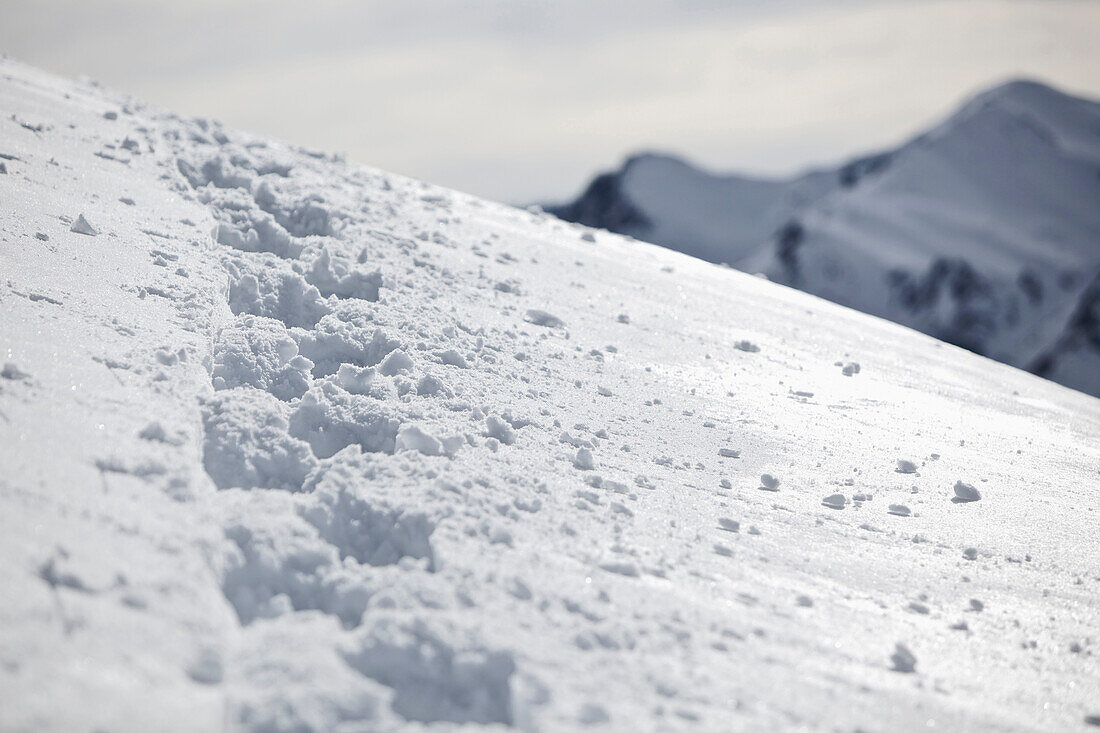 Tracks in the deep powder snow, See, Tyrol, Austria