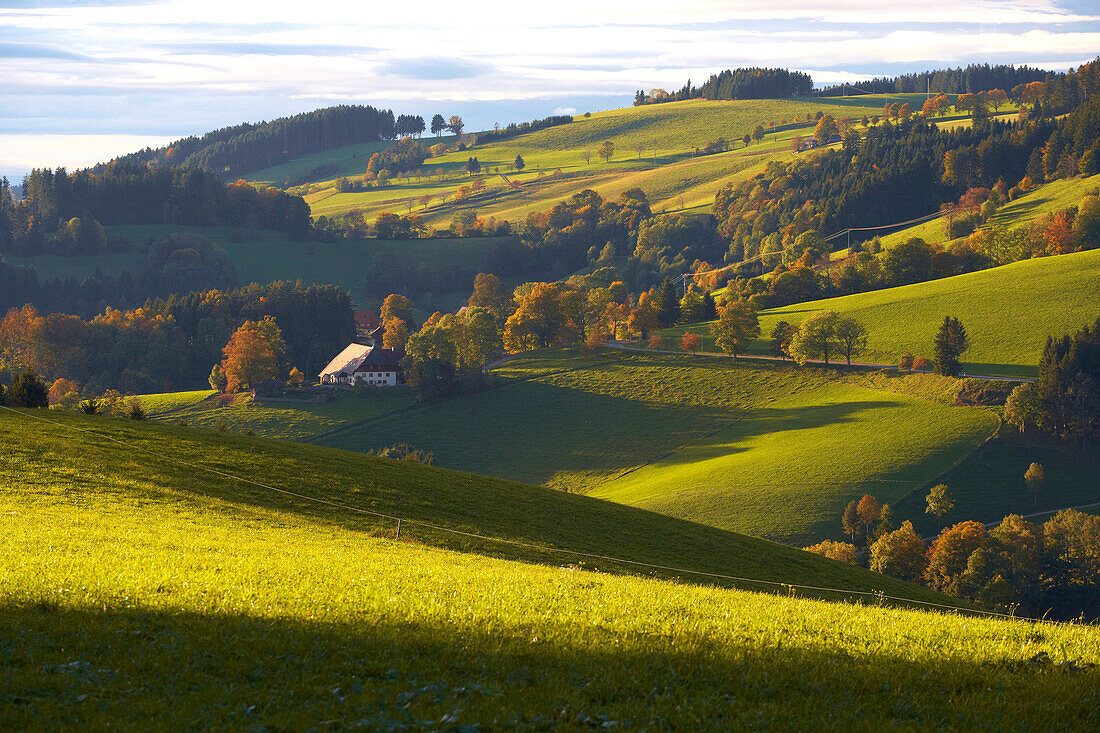 Autumn evening near St Maergen, Southern part of Black Forest, Black Forest, Baden-Wuerttemberg, Germany, Europe