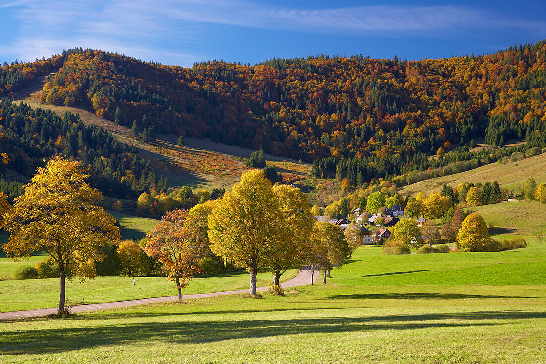 Bernau Hof in Autumn, Southern part of Black Forest, Black Forest, Baden-Wuerttemberg, Germany, Europe