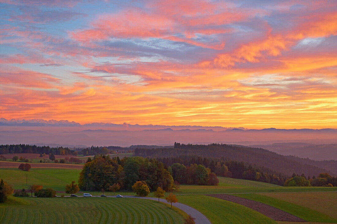 Blick von Höchenschwand auf Schweizer Alpen, Herbst, Sonnenuntergang, Abend, Südschwarzwald, Schwarzwald, Baden-Württemberg, Deutschland, Europa