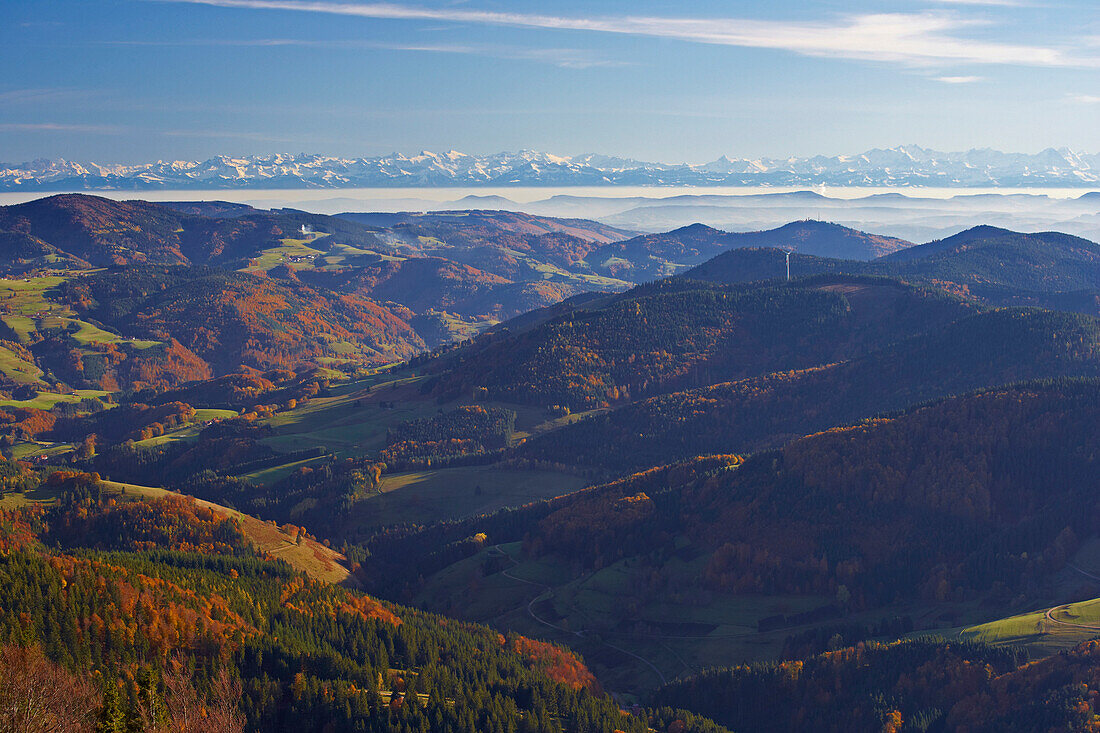 View from Belchen mountain towards the Swiss Alps, Autumn, Southern part of the Black Forest, Black Forest, Baden-Wuerttemberg, Germany, Europe