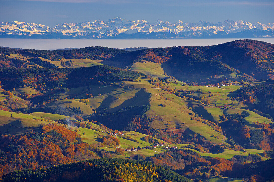 View from Belchen mountain towards the Swiss Alps, Autumn, Southern part of the Black Forest, Black Forest, Baden-Wuerttemberg, Germany, Europe