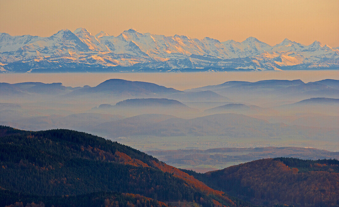 Blick vom Belchen auf die Schweizer Alpen, Herbst, Südschwarzwald, Schwarzwald, Baden-Württemberg, Deutschland, Europa