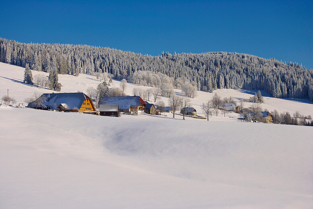 Winters day at Breitnau-Fahrenberg, Black Forest, Baden-Wuerttemberg, Germany, Europe