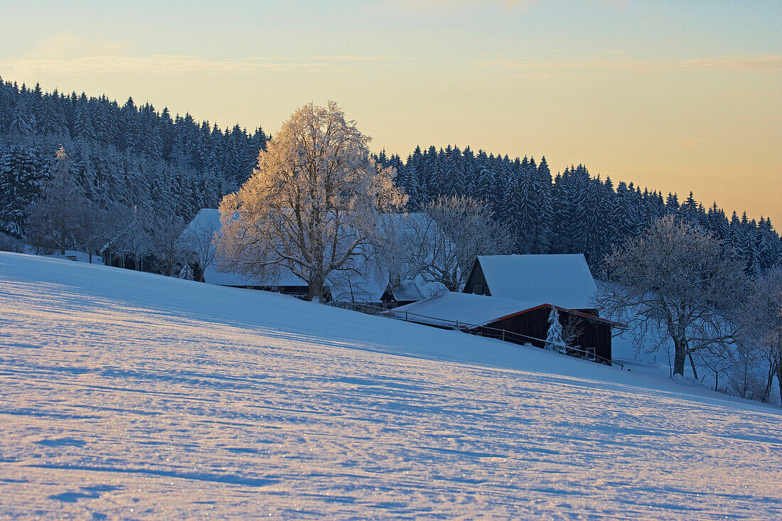 Wintertag in Breitnau-Fahrenberg, Schwarzwald, Baden-Württemberg, Deutschland, Europa
