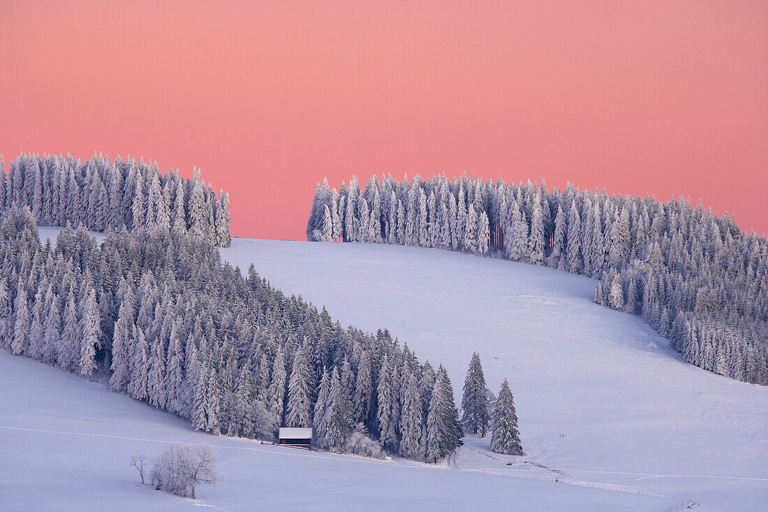 Winter's evening in Breitnau-Fahrenberg, Black Forest, Baden-Wuerttemberg, Germany, Europe